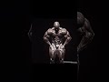 FLEX WHEELER: ASÍ POSABA EL FÍSICO PERFECTO