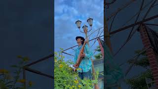 Download Lagu Bubuy Bulan Cover Sape' #lagusunda  #musikviral #laguviral MP3