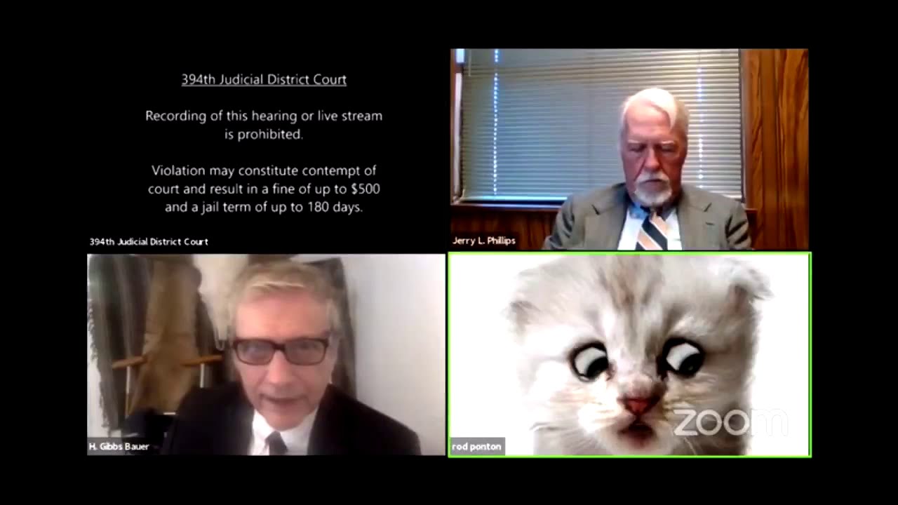 Lawyer accidentally turned himself into a cat during virtual court
