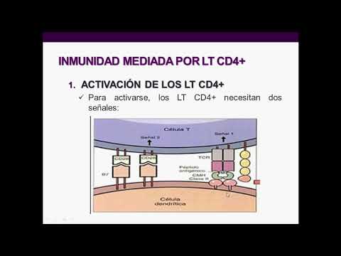 Video: ¿Por qué es tan importante la expansión clonal?