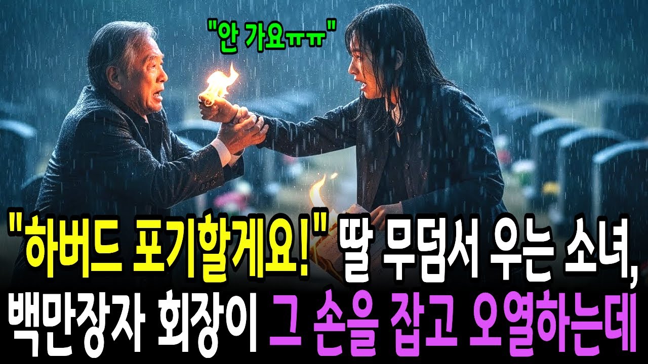 하버드 포기할게요! 딸 무덤서 우는 소녀, 백만장자 회장이 그 손을 잡고 오열하고 마는데