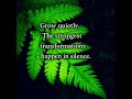#GrowQuietly #SilentGrowth #NatureMotivation #InnerGrowth #StayRooted #PeacefulMind #