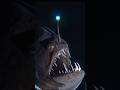 4 of the weirdest creatures in the DEEP ocean 😱 #animals #curiosities #shorts