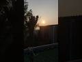 North India Weather &amp; Poultry Now Countryside 17 December Morning Sunrise