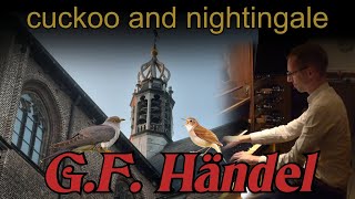 🎹G.F. Händel - 🐦🐦Cuckoo & nightingale (Koekoek en nachtegaal) Grote Kerk Harderwijk