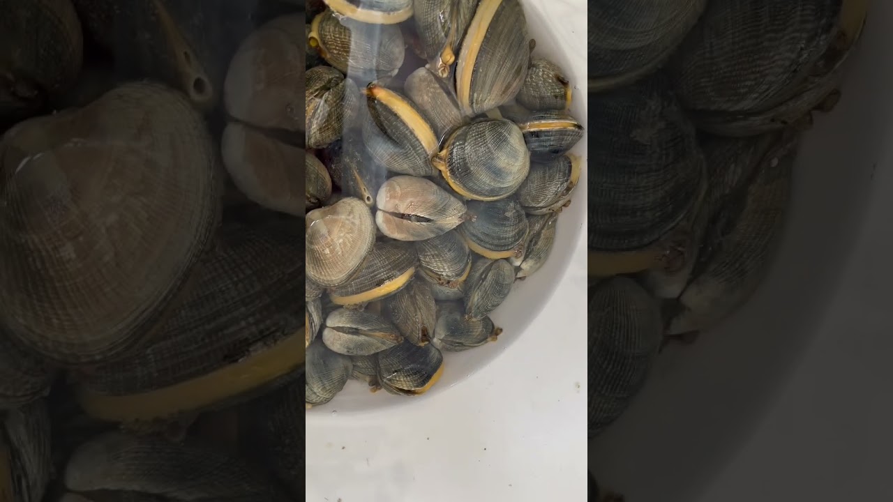 Happy As A Clam | Oh! Yes, I’m 