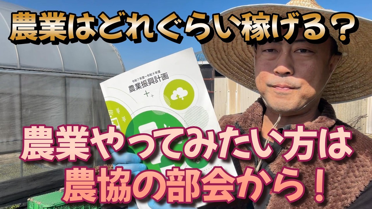 農業したい方必見！米1反でいくら残るの？農業はどの野菜をどれぐらいの面積作ればどれくらいになるのか？