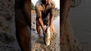 net fishing #shorts #viral #fishing