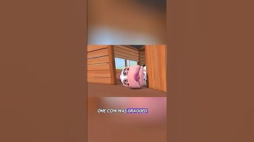 The cow bragged so much it nearly cost her life.