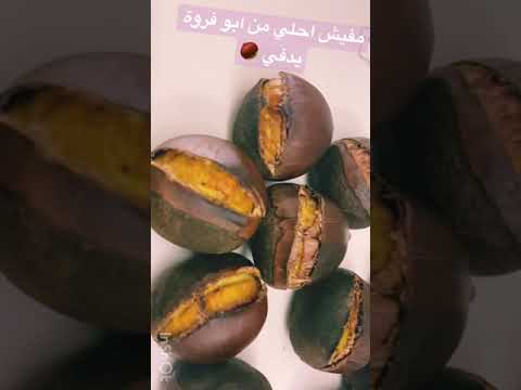 شوي الكستناء ابو فروة