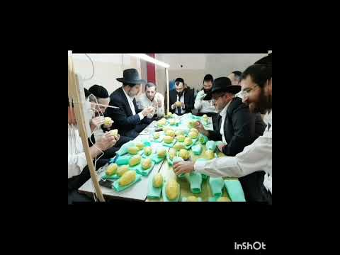 שיעורו של הגאון הרב אופיר מלכא שידור מרדיו קול חי הפתיח  ושאלות ותשובות  כג באדר תשפב