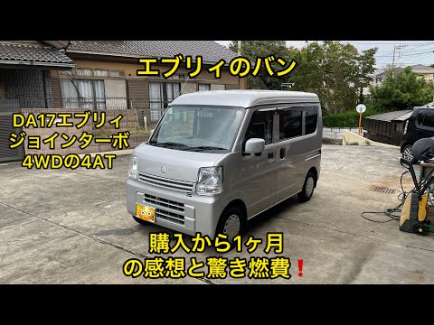 DA17 Every Van: One month after purchase, impressions and