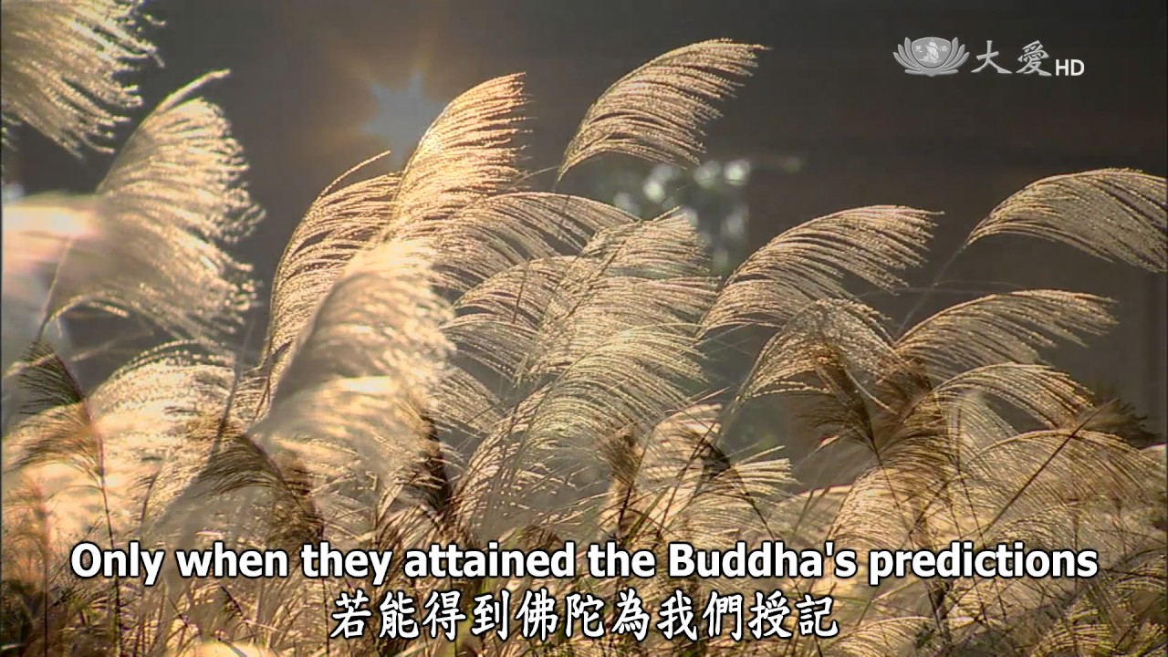 Wisdom at Dawn (Lotus Sutra) ep0950: Resonating with the Buddha's Wisdom