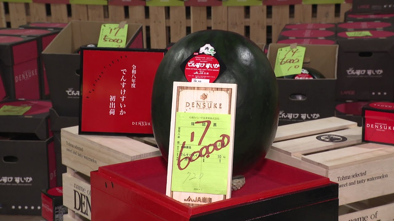 でんすけすいか」札幌で初競り！“1玉60万円”で4年連続の高値に＿真っ黒