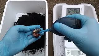 飼育記録♯032　【100円ショップのカブトムシマットで幼虫を育ててみよう♪】　ヘラクレスオオカブト幼虫えさ交換作業！