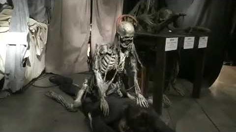 HAUNTEDPROPS.COM HPSKEL106 -Skelly Head Banger