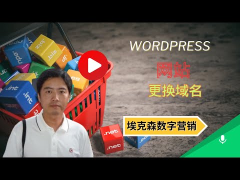 45.WordPress网站换域名-埃克森数字营销