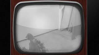 The Suitborn Official Announcement Trailer Read Description