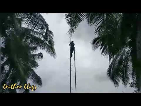 WiFi single Tower installation || Piso WiFi