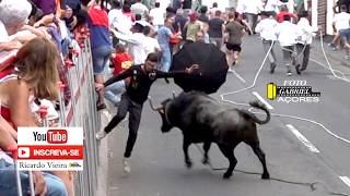 Tourada à corda in São Bento, 8 July 2026