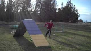 Risk's A-Frame 1