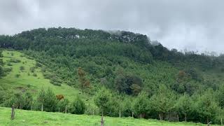 Terreno en venta en Las Vigas de Ramirez, a 20 min de Xalapa Ver, acceso a servicios VID3
