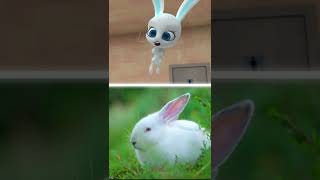 Kwamis In Real Life Fluff - Rabbit Miraculous Ladybug