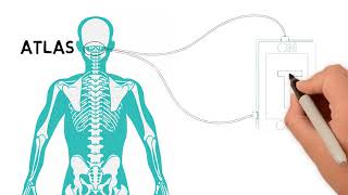 Upper Cervical Care In Rockford, Illinois