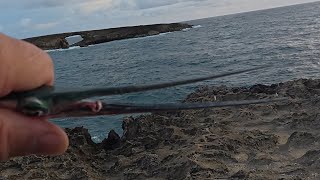 Laie Point Light Game Fishing