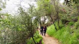4-12-14, Mt.Wilson Trail.산누리하이킹LA.
