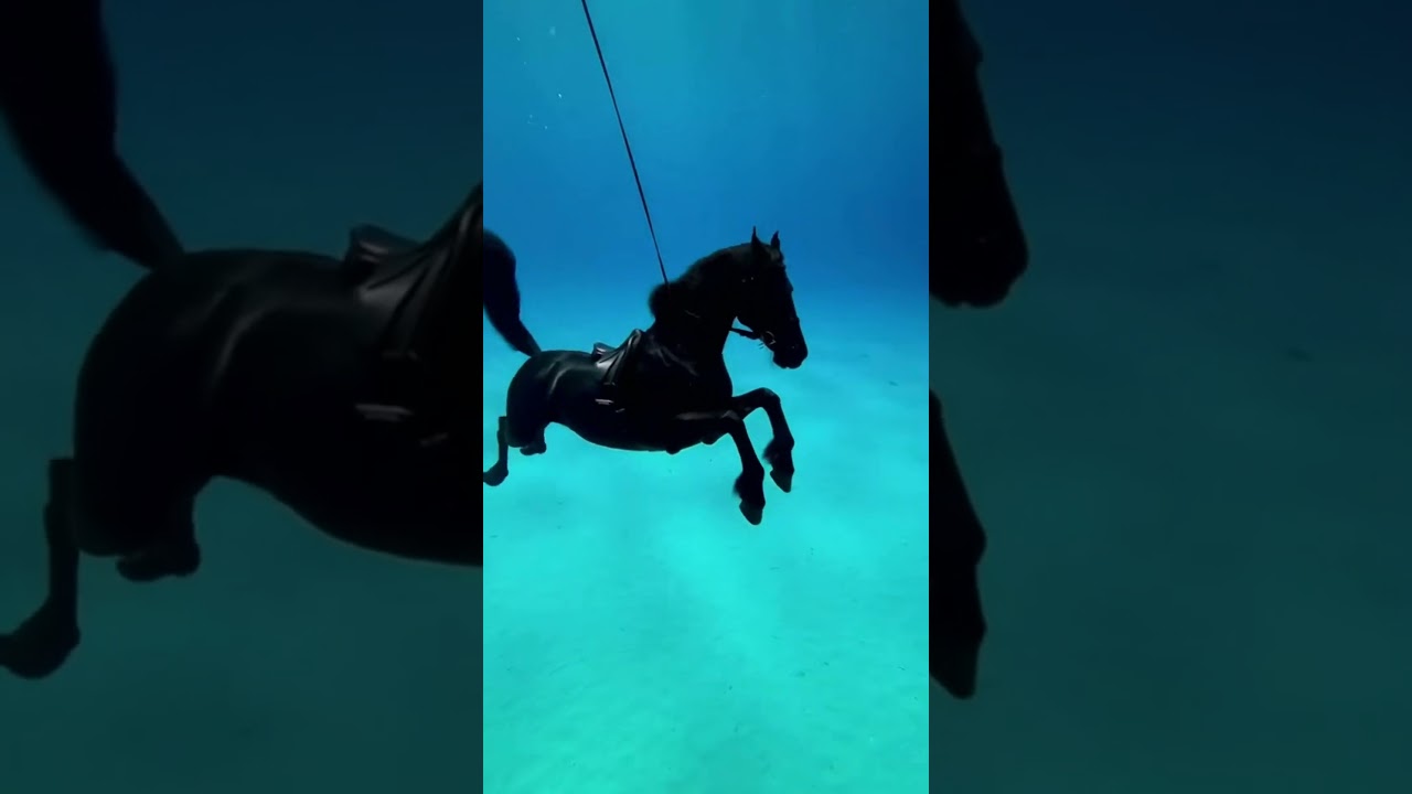 Amazing footage captures the elite training of a military Friesian horse performing a tactical dive