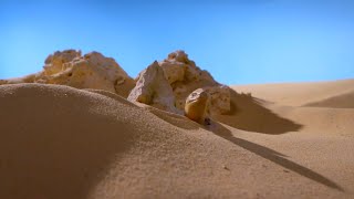 Life On Our Planet [2023] - Madtsoia Screen Time