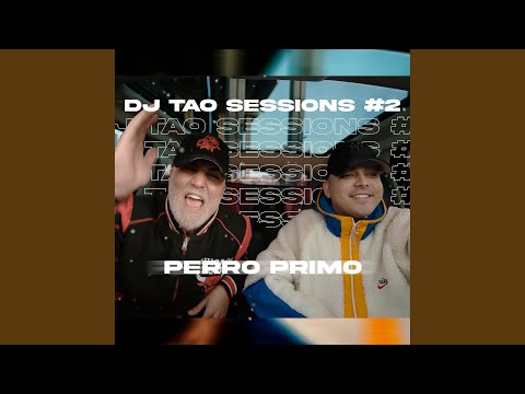 DJ Tao & El Perro - PERRO PRIMO | DJ TAO Turreo Sessions #2