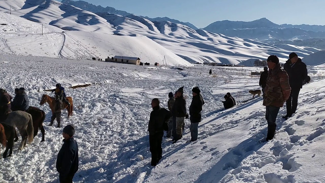 Кара согот улак 83