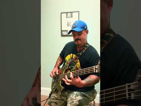 I Know a Little - Lynyrd Skynyrd bass cover! #yourubeshorts #basscover