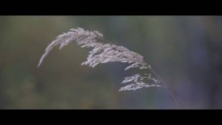 Dendik - Fragman - 1