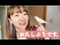 【これからの動画投稿について】お久しぶりです。ご心配おかけしてすみません🙇♂️