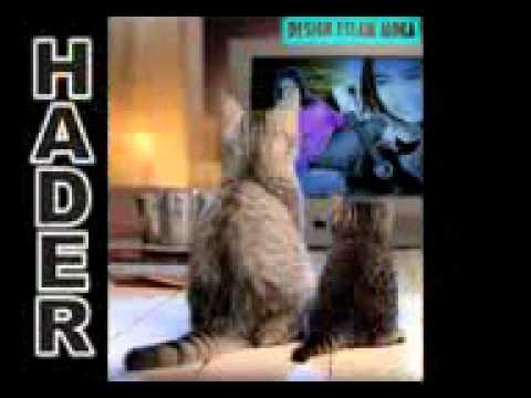 كليب هدير عبد الباسط مين بيحبك اكتر منى Mpg YouTube 3GP 