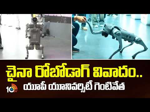 చైనా రోబోడాగ్‌ వివాదం..యూపీ యూనివర్సిటీ గెంటివేత | Central Govt Serious On Chinese Robot Dog Issu - 10TVNEWSTELUGU