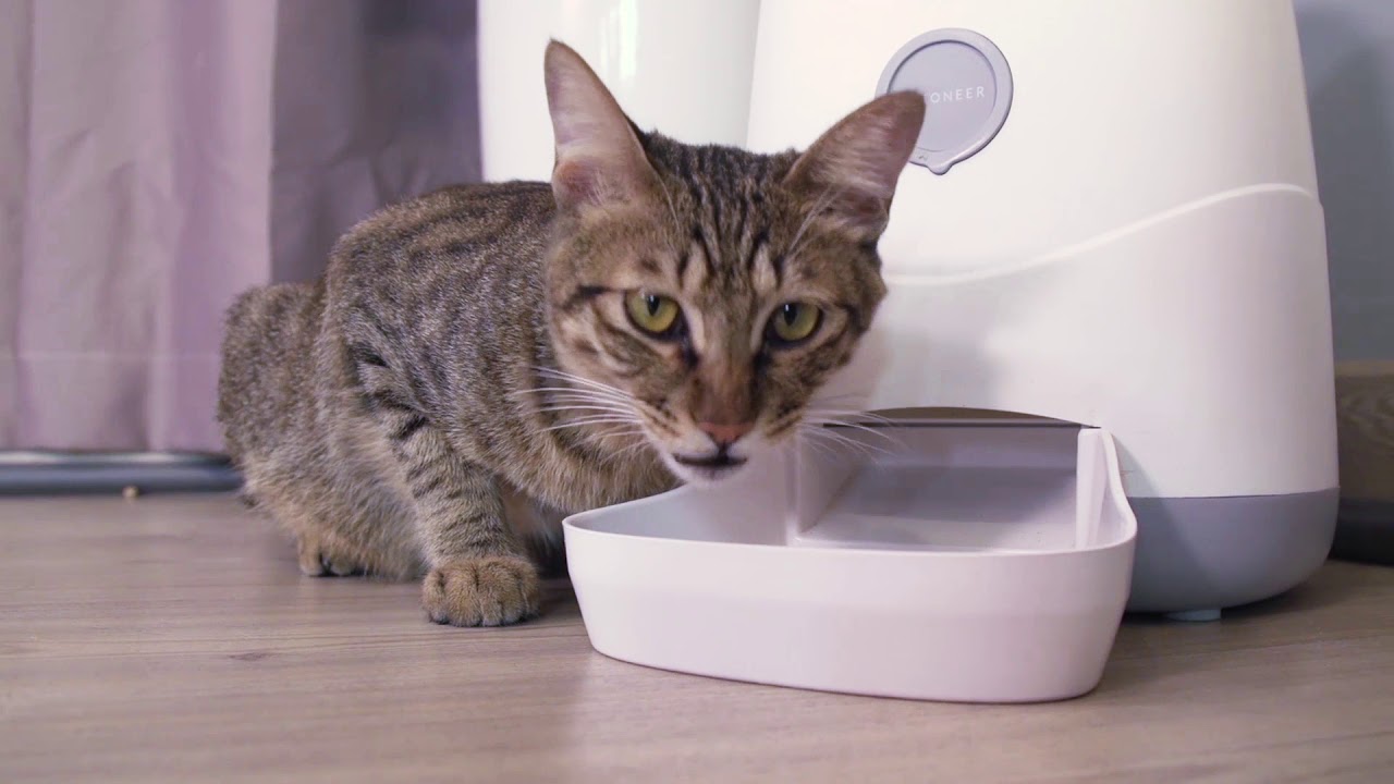 Petoneer Nutri Distributeur De Croquettes Connecté Pour Chats Et Chiens