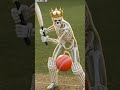 What happens if you play cricket 4 hours every day for 1 year? 🏏🤯