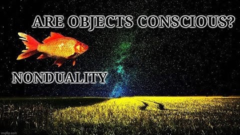 Are Objects Conscious? | Nonduality
