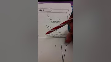 Go Math 10.2 triangle types