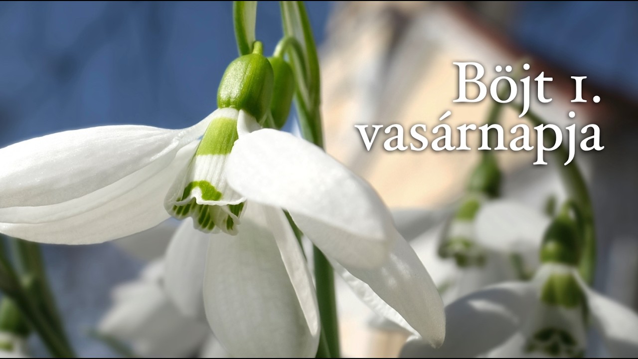 Evangélikus istentisztelet február 22-én