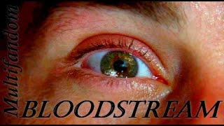 Multifandom || Bloodstream