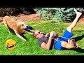 Funny Animals Caught On Camera 🤣 - Try Not To Laugh | Amazing Animals