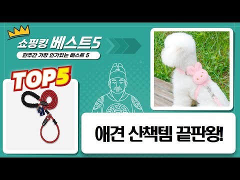 강아지 산책템 총출동! 애월/무라펫/펫먼트/독스랩/파스텔펫 후기