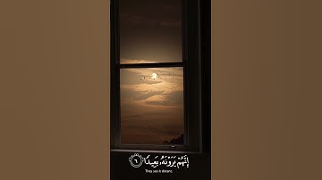 فاصبر صبرًا جميلاً 🌿 | تلاوة مؤثرة للقارئ إسلام صبحي