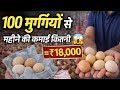 How much does it cost to raise 100 chickens per month? @Mankar_poultry_farm