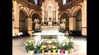 8 am Friday Mass in the Third Week of Easter at St. Aloysius Church, April 24, 2026